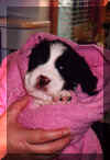 Amber wrapped up after her 1st bath