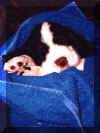 Copper sleeps after his bath