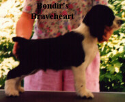 Baxter (was Elmer) stacked