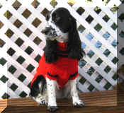 Halloween04.JPG (31673 bytes)