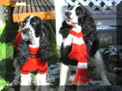 HalloweenwithGertie.JPG (29375 bytes)