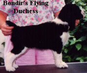 Sara (was Kitty) stacked