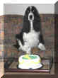 10thCake.JPG (31718 bytes)