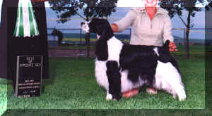 BOSWRESSAA.JPG (39934 bytes)