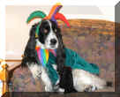 Halloween04.JPG (34287 bytes)