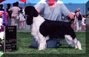 Minnie1999.JPG (36427 bytes)