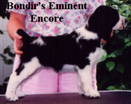 Minnie (was Tweety Pie) stacked