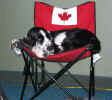 MinnieinChair.JPG (25922 bytes)