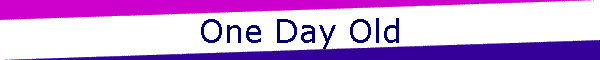 One Day Old