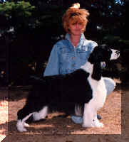 BaxterStack2.JPG (44485 bytes)