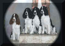 GirlsCKOC.jpg (72512 bytes)