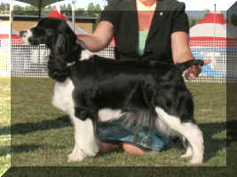 Victoria August 2008 finishes Canadian Championship