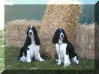 VictoriawithMom.jpg (118979 bytes)