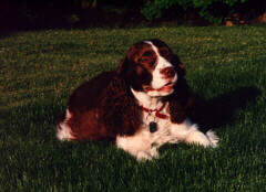 Daisy Mae enjoys the outdoors!