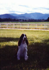 Jenna enjoys the view