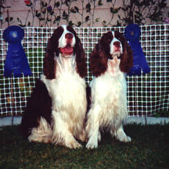 Tia waits for a ride