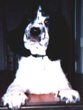 Minnie carries her toy