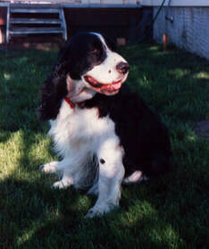 Minnie carries her toy