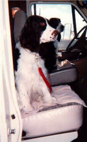 Tia waits for a ride